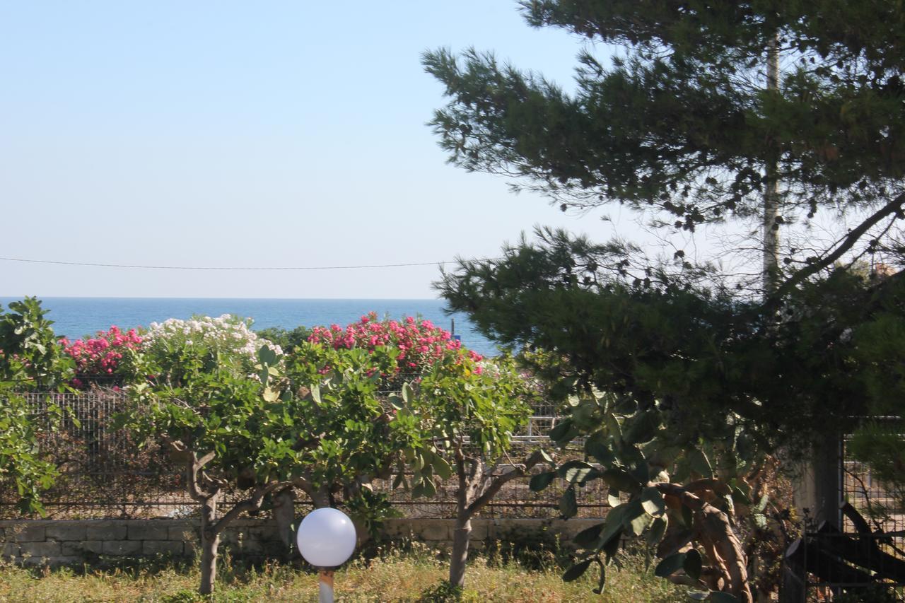 Trentatre Quarantatre Bed & Breakfast Mola di Bari Dış mekan fotoğraf